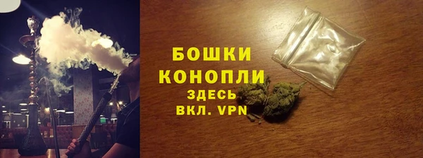 гидра Медногорск