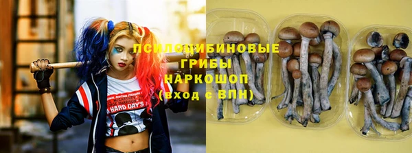 первитин Медвежьегорск