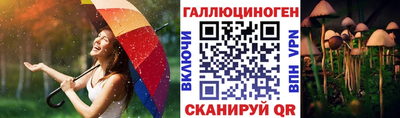Псилоцибиновые грибы Psilocybine cubensis  хочу   mega как войти  Кемерово 