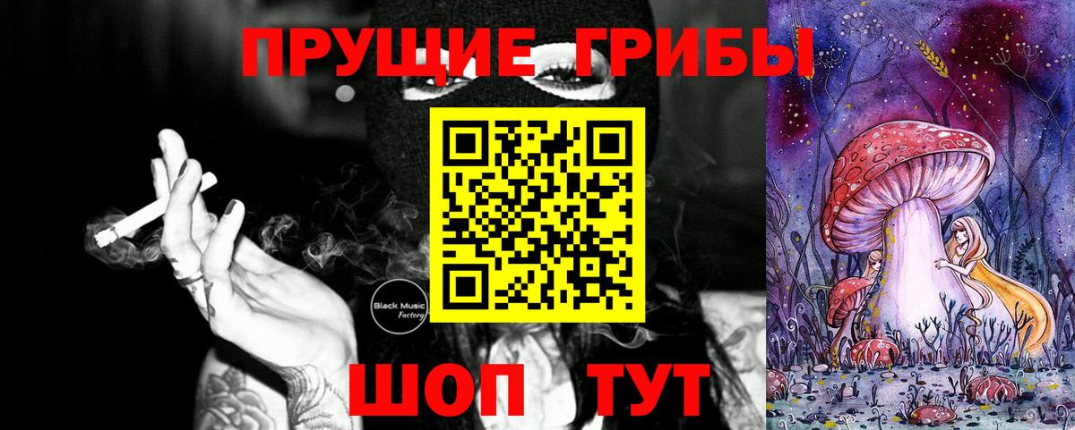 Галлюциногенные грибы Psilocybe Кемерово