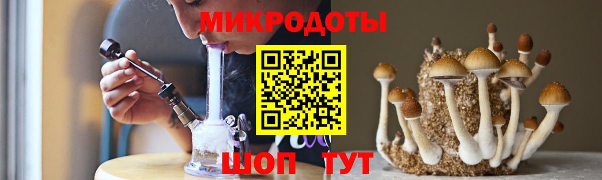 Псилоцибиновые грибы Psilocybine cubensis  Кемерово  Псилоцибиновые грибы Psilocybine cubensis 