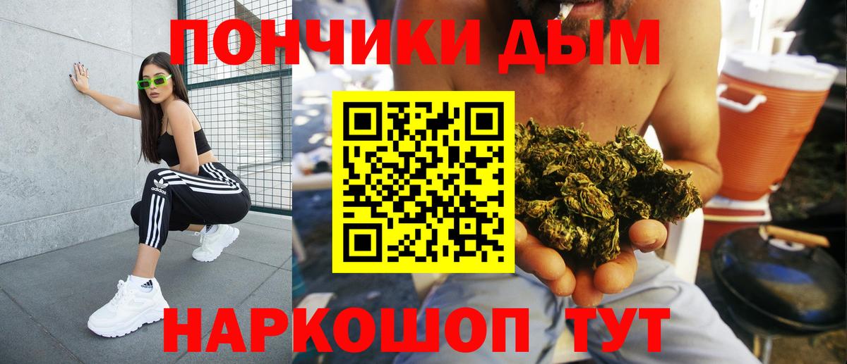 Бошки марихуана план  Кемерово  Канабис SATIVA & INDICA  МАРИХУАНА планчик 