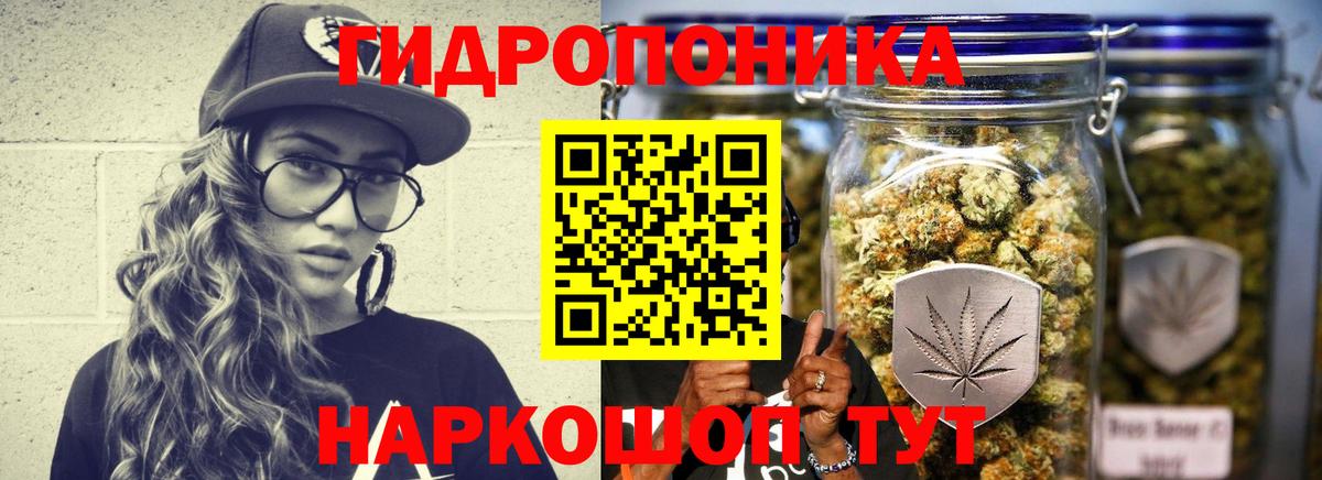 Бошки марихуана Amnesia  Конопля VHQ  Кемерово  Вход с VPN  Бошки Шишки Amnesia 